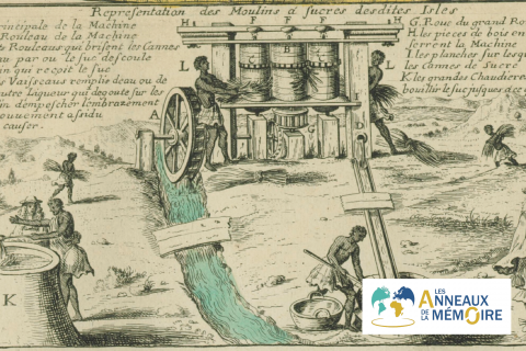 UNE HISTOIRE DES ESCLAVAGES – L&rsquo;esclavage en Martinique au 18ème siècle