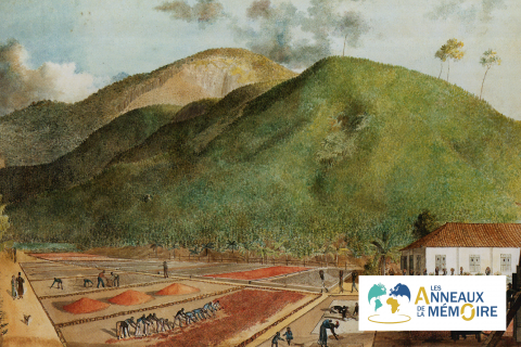 UNE HISTOIRE DES ESCLAVAGES – Nantes et l&rsquo;île de la Réunion