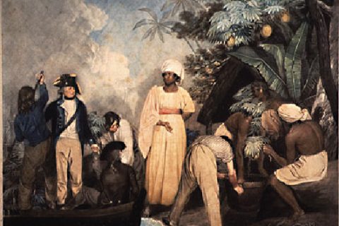 L’économie de plantation au XVIIIème siècle